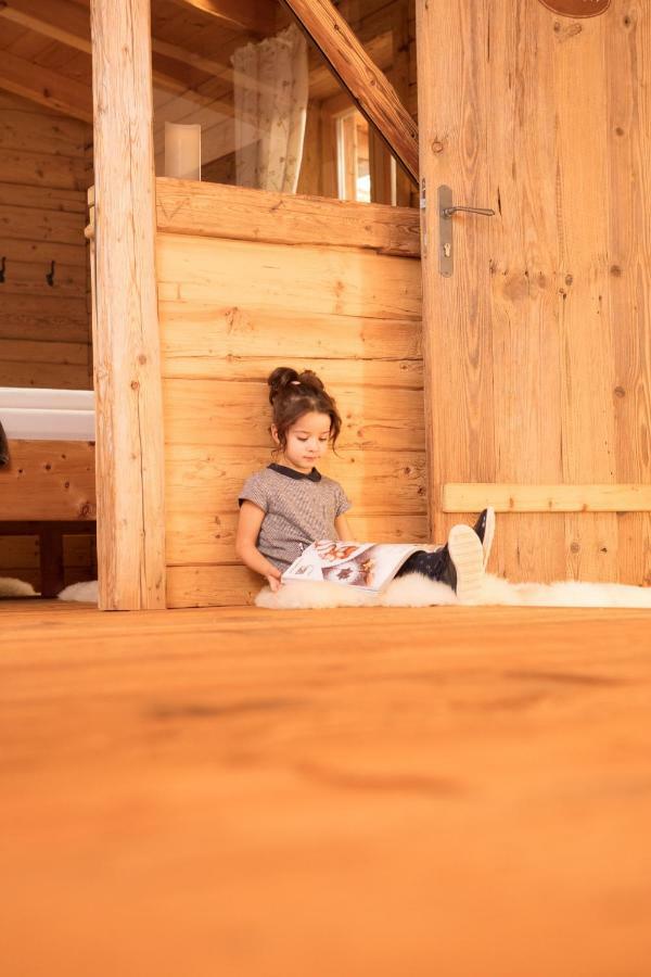 Chalet Laerchenzipf Pfarrwerfen Εξωτερικό φωτογραφία